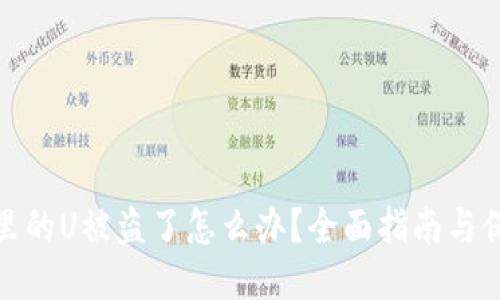 比特派里的U被盗了怎么办？全面指南与保护措施