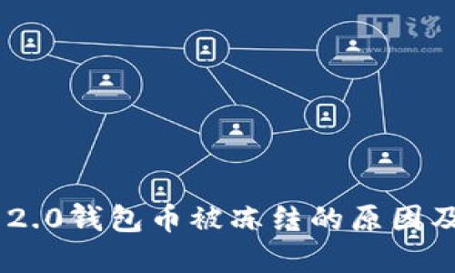 Tokenim 2.0钱包币被冻结的原因及解决方案