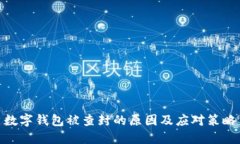 数字钱包被查封的原因及应对策略