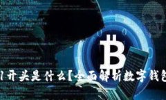 : 数字钱包001开头是什么？全面解析数字钱包的分