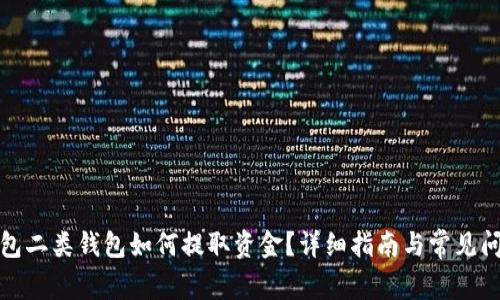 数字钱包二类钱包如何提取资金？详细指南与常见问题解答
