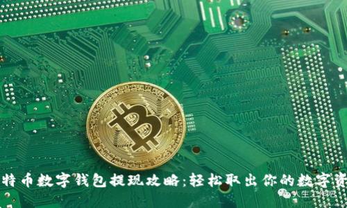 比特币数字钱包提现攻略：轻松取出你的数字资产
