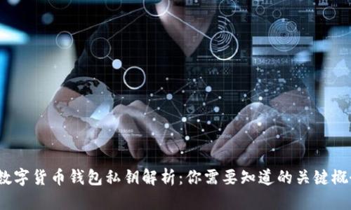  数字货币钱包私钥解析：你需要知道的关键概念