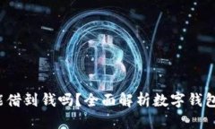  数字钱包能借到钱吗？全