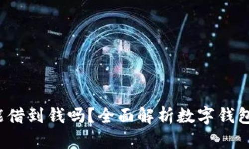  数字钱包能借到钱吗？全面解析数字钱包的借贷功能