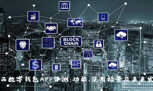 陕西数字钱包APP评测：功能、使用场景及未来发展