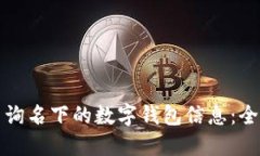 如何查询名下的数字钱包