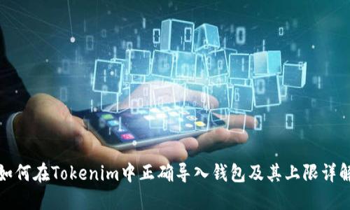 如何在Tokenim中正确导入钱包及其上限详解