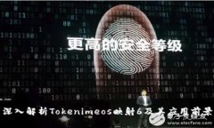 深入解析Tokenimeos映射6及其