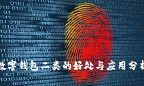 数字钱包二类的好处与应用分析