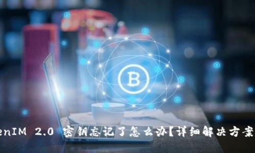 : TokenIM 2.0 密钥忘记了怎么办？详细解决方案与指南