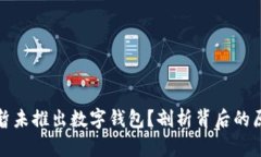 社保为何暂未推出数字钱