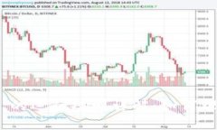 Tokenim 的运行规则详解：如