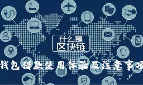 数字钱包借款使用体验及注意事项分析