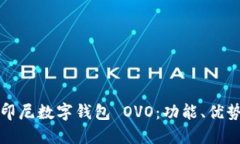 全方位了解印尼数字钱包