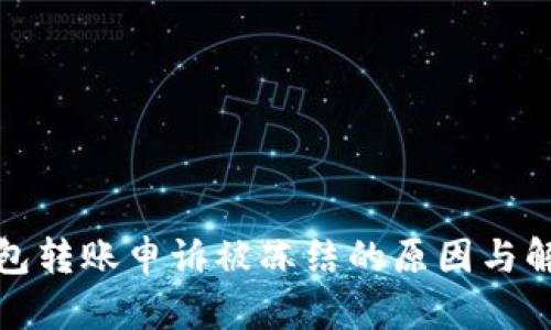 数字钱包转账申诉被冻结的原因与解决方法