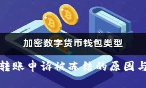 数字钱包转账申诉被冻结的原因与解决方法