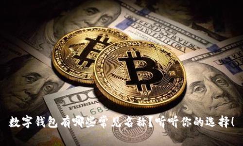 数字钱包有哪些常见名称？听听你的选择！