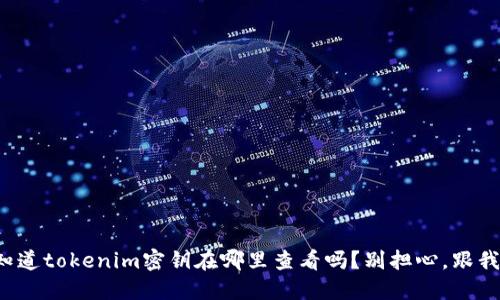 你知道tokenim密钥在哪里查看吗？别担心，跟我来！