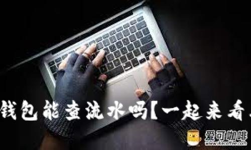 数字钱包能查流水吗？一起来看看吧！
