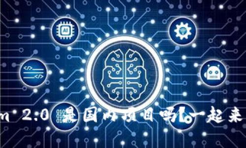 Tokenim 2.0 是国内项目吗？一起来搞清楚！