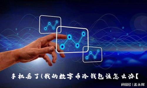 手机丢了！我的数字币冷钱包该怎么办？