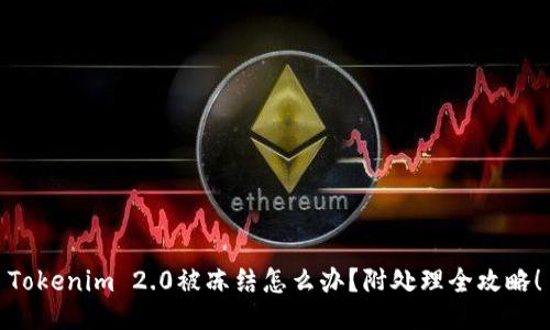Tokenim 2.0被冻结怎么办？附处理全攻略！