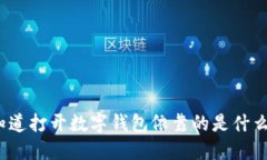 你知道打开数字钱包依靠
