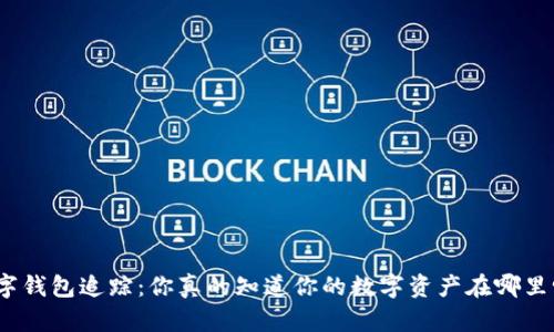 数字钱包追踪：你真的知道你的数字资产在哪里吗？