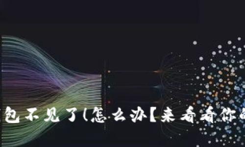 我的数字钱包不见了！怎么办？来看看你的救赎计划！