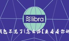我的数字钱包不见了！怎么办？来看看你的救赎
