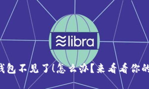 我的数字钱包不见了！怎么办？来看看你的救赎计划！