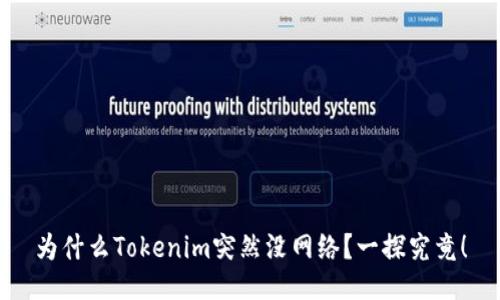 为什么Tokenim突然没网络？一探究竟！