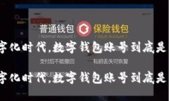 在数字化时代，数字钱包账号到底是什么？在数