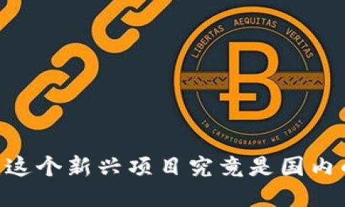 Tokenim 2.0：这个新兴项目究竟是国内的还是国外的？