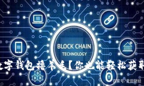 如何通过数字钱包撸羊毛？你也能轻松获取额外收益！