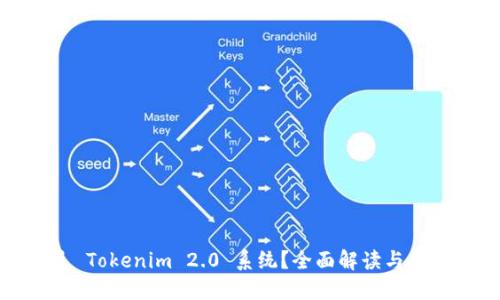 什么是 Tokenim 2.0 系统？全面解读与应用实例