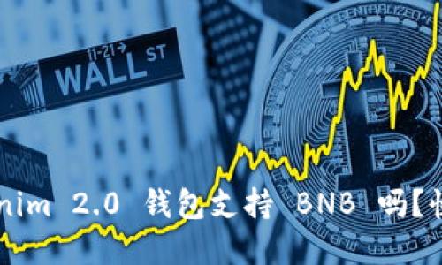 你知道 Tokenim 2.0 钱包支持 BNB 吗？快来了解一下！