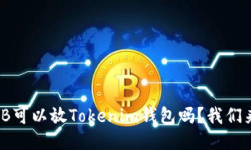 ## SHIB可以放Tokenim钱包吗？我们来聊聊吧！