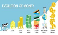 如何将Shiba币安全存入你的数字钱包？别错过这些