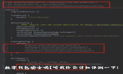 数字钱包安全吗？听我给你详细评测一下！