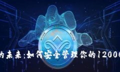 数字钱包的未来：如何安全管理你的120000元资产