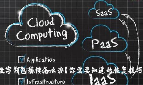 数字钱包崩溃怎么办？你需要知道的恢复技巧！