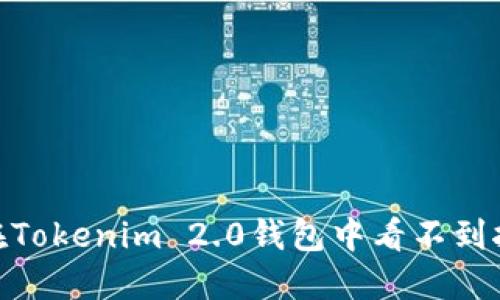 为什么我在Tokenim 2.0钱包中看不到挖到的ETH？