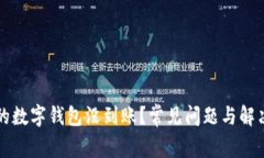 为什么我的数字钱包没到账？常见问题与解决方