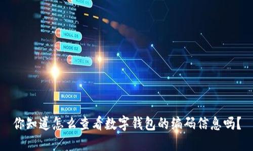 你知道怎么查看数字钱包的编码信息吗？