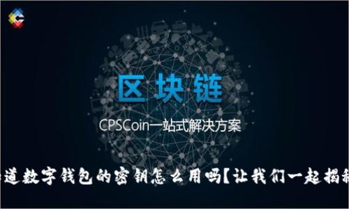 你知道数字钱包的密钥怎么用吗？让我们一起揭秘吧！
