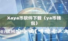 区块链TokenIM安全吗？听听专业人士怎么说！