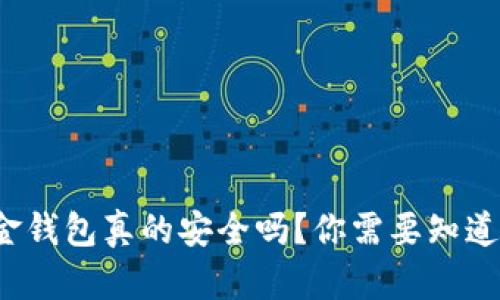 数字现金钱包真的安全吗？你需要知道的一切！