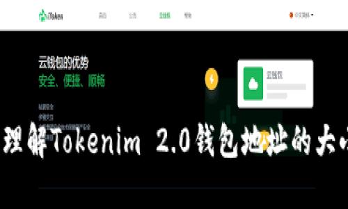 如何轻松理解Tokenim 2.0钱包地址的大小写问题？